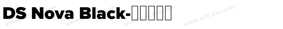 DS Nova Black字体转换